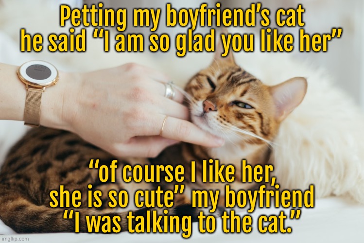 Petting boyfriends cat | Petting my boyfriend’s cat he said “I am so glad you like her”; “of course I like her, she is so cute” my boyfriend “I was talking to the cat.” | image tagged in boyfriends cat,glad you like her,i like her so cute,talking to the cat,cats | made w/ Imgflip meme maker