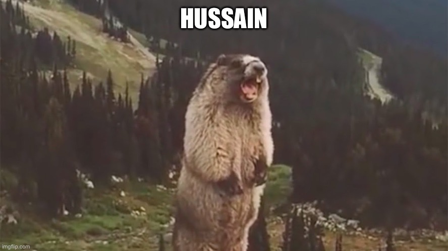 Screaming Marmot | HUSSAIN | image tagged in screaming marmot | made w/ Imgflip meme maker