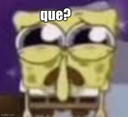 Spunchbop all sad n shit | que? | image tagged in spunchbop all sad n shit | made w/ Imgflip meme maker
