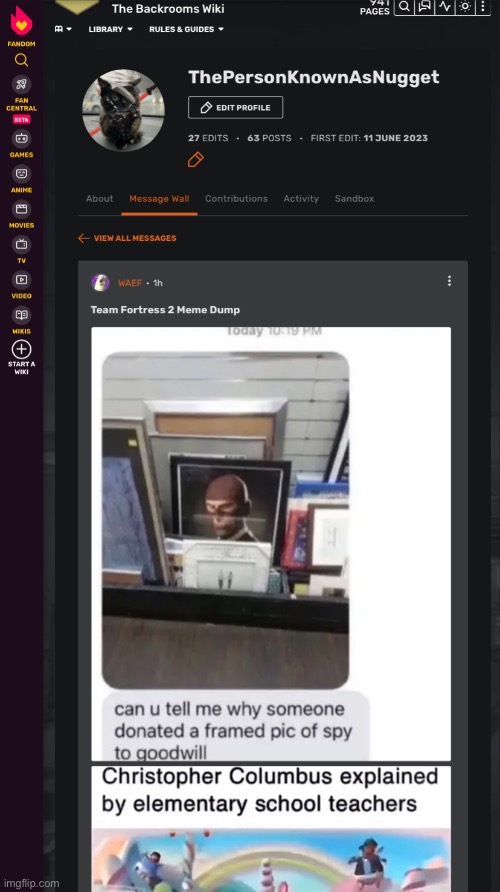 someone just left a tf2 meme dump on my fandom profile page ☠️ | made w/ Imgflip meme maker