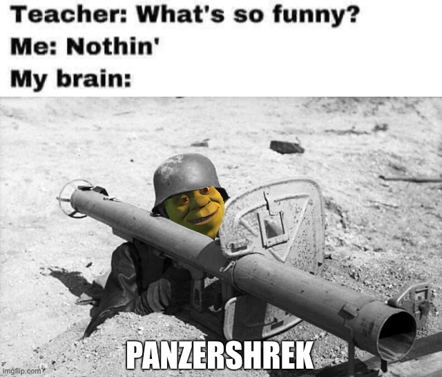 image tagged in memes,teacher what are you laughing at,shrek | made w/ Imgflip meme maker