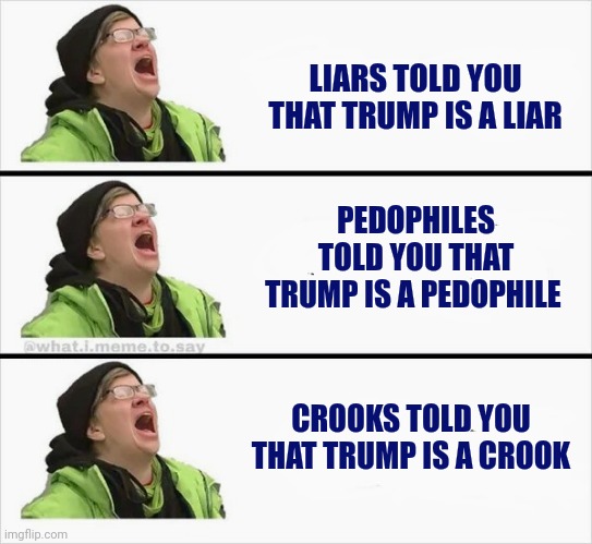 Whining Liberal | LIARS TOLD YOU THAT TRUMP IS A LIAR PEDOPHILES TOLD YOU THAT TRUMP IS A PEDOPHILE CROOKS TOLD YOU THAT TRUMP IS A CROOK | image tagged in whining liberal | made w/ Imgflip meme maker