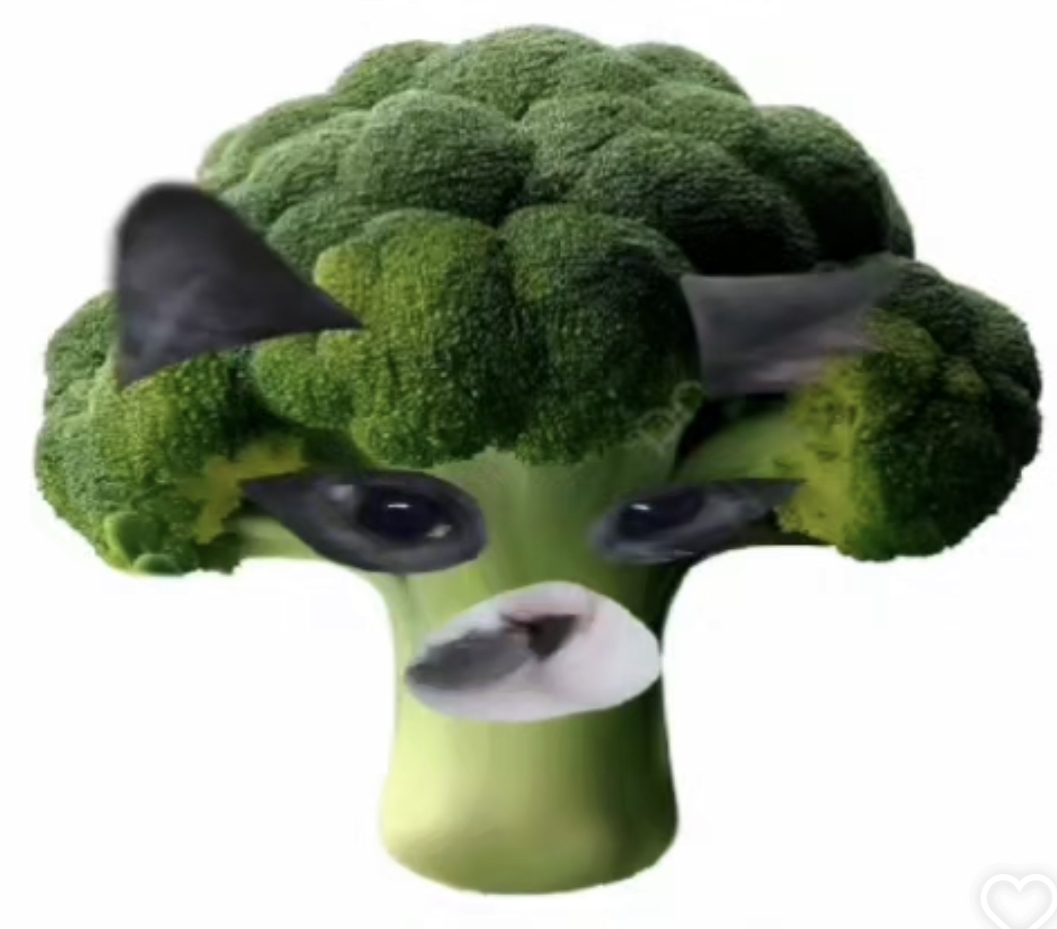 Broccoli cat Blank Meme Template