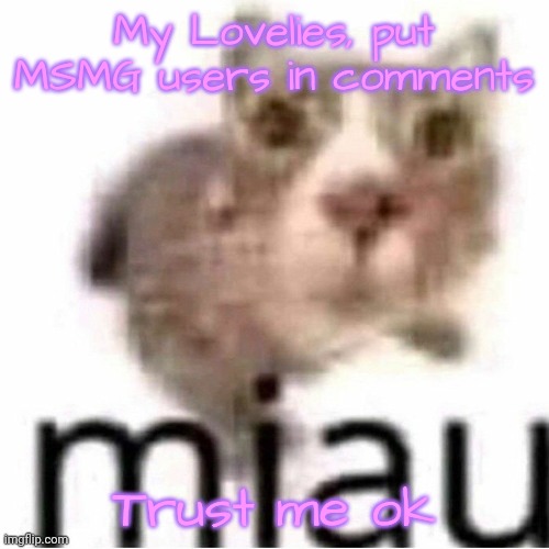 miau | My Lovelies, put MSMG users in comments; Trust me ok | image tagged in plz | made w/ Imgflip meme maker
