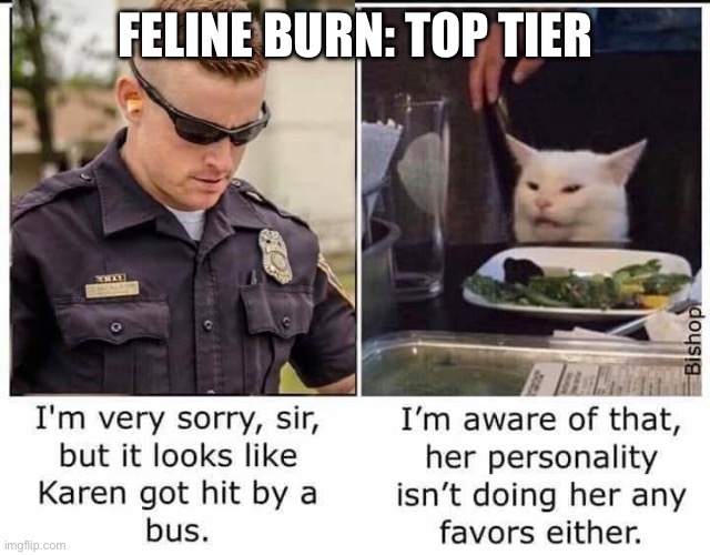 Poor Karen | FELINE BURN: TOP TIER | image tagged in smudge the cat,burn,burn kitty | made w/ Imgflip meme maker