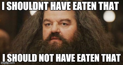 Hagrid | I SHOULDNT HAVE EATEN THAT I SHOULD NOT HAVE EATEN THAT | image tagged in hagrid | made w/ Imgflip meme maker