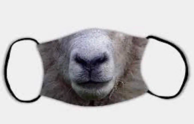 High Quality sheep mask Blank Meme Template