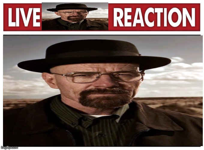 Wall termite | image tagged in memes,walter white,breaking bad,funny | made w/ Imgflip meme maker