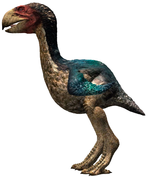 High Quality Gastornis Blank Meme Template