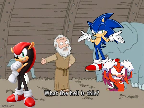 What the hell is this? | image tagged in what the hell is this,sonic the hedgehog,knuckles,mighty | made w/ Imgflip meme maker