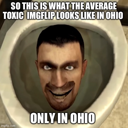 skibidi toilet | SO THIS IS WHAT THE AVERAGE TOXIC  IMGFLIP LOOKS LIKE IN OHIO ONLY IN OHIO | image tagged in skibidi toilet | made w/ Imgflip meme maker