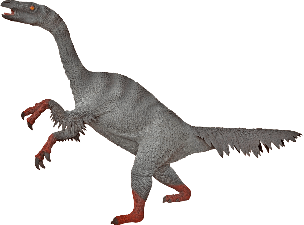 Nothronychus Blank Meme Template