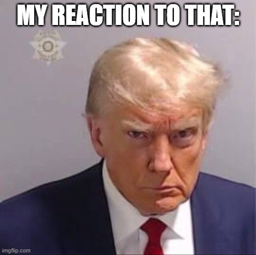 my reaction: | MY REACTION TO THAT: | image tagged in reaction,donald trump | made w/ Imgflip meme maker
