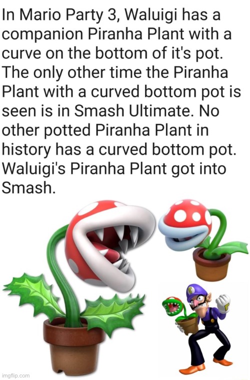 image tagged in piranha plant,waluigi | made w/ Imgflip meme maker