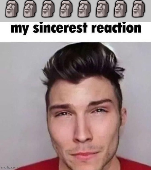 my sincerest reaction | 🗿🗿🗿🗿🗿🗿🗿🗿 | image tagged in nikocado avocado,funny,goofy,memes,fun,relatable | made w/ Imgflip meme maker