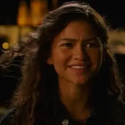 Zendaya Blank Meme Template