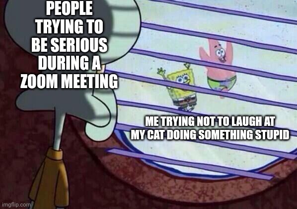 My ai meme | PEOPLE TRYING TO BE SERIOUS DURING A ZOOM MEETING; ME TRYING NOT TO LAUGH AT MY CAT DOING SOMETHING STUPID | image tagged in squidward window | made w/ Imgflip meme maker