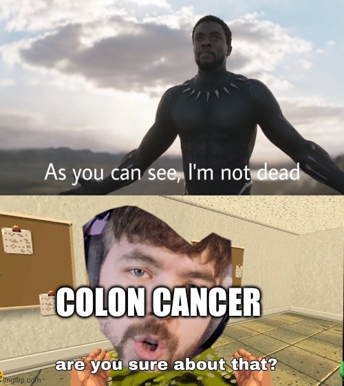 I fixed it after months and changed death to the reason he actually died | COLON CANCER | image tagged in jacksepticeye are you sure about that | made w/ Imgflip meme maker