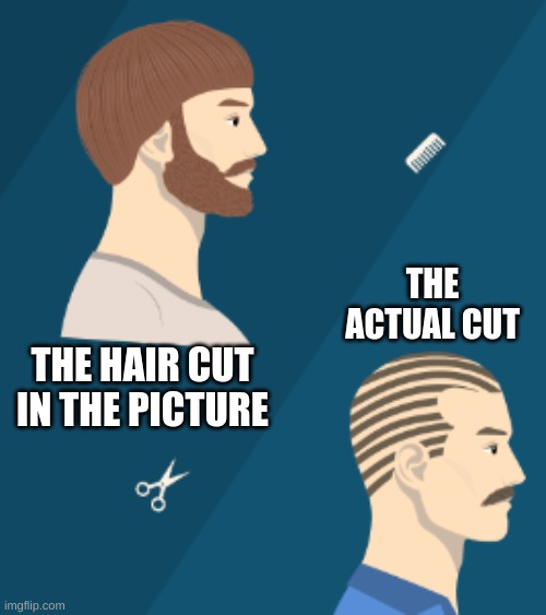 dont look at the options they have | THE ACTUAL CUT; THE HAIR CUT IN THE PICTURE | image tagged in memes,barber,haircut | made w/ Imgflip meme maker