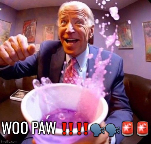Biden lean | WOO PAW ‼️‼️🗣️🗣️🚨🚨 | image tagged in biden lean | made w/ Imgflip meme maker