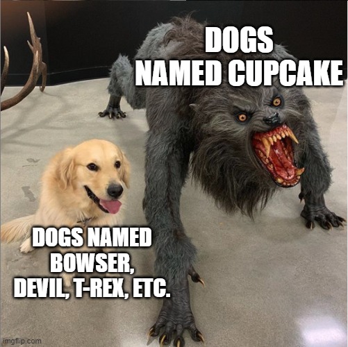 tbfh | DOGS NAMED CUPCAKE; DOGS NAMED BOWSER, DEVIL, T-REX, ETC. | image tagged in dog vs werewolf | made w/ Imgflip meme maker