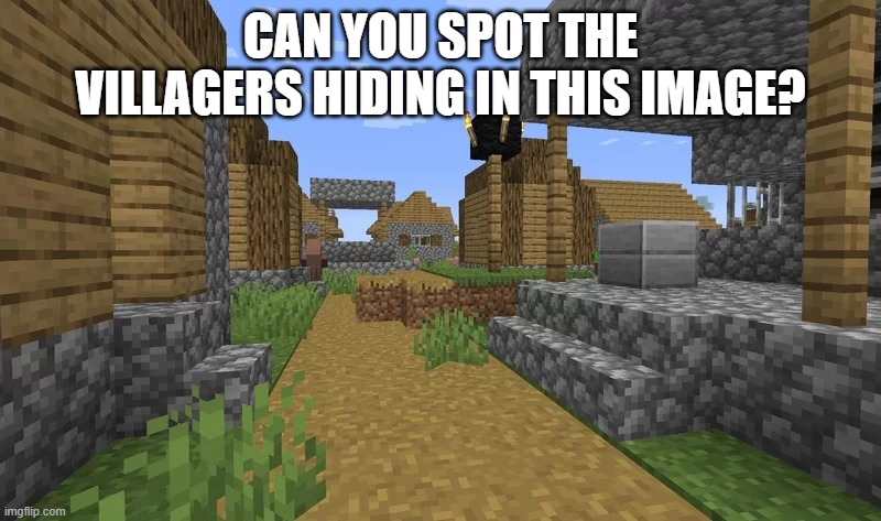 Spot-it Challenge | CAN YOU SPOT THE VILLAGERS HIDING IN THIS IMAGE? | image tagged in minecraft village | made w/ Imgflip meme maker