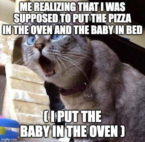 Oh-NOOOh | ME REALIZING THAT I WAS SUPPOSED TO PUT THE PIZZA IN THE OVEN AND THE BABY IN BED; ( I PUT THE BABY IN THE OVEN ) | image tagged in oh-noooh | made w/ Imgflip meme maker