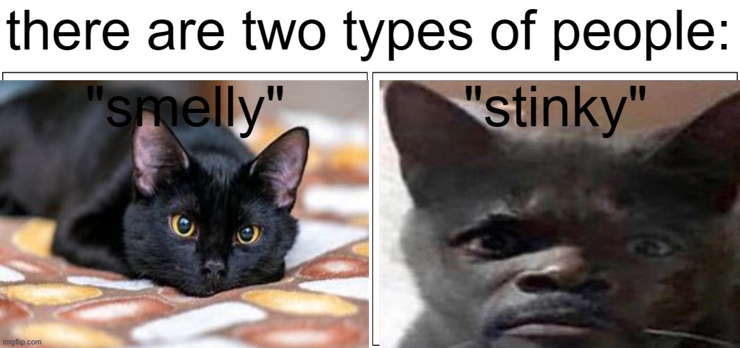 two | there are two types of people:; "smelly"; "stinky" | image tagged in memes,blank comic panel 2x1 | made w/ Imgflip meme maker