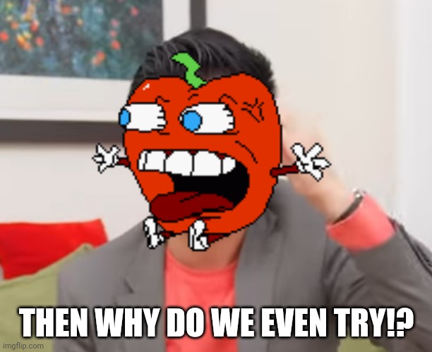 Then why is it in the game!? | THEN WHY DO WE EVEN TRY!? | image tagged in then why is it in the game | made w/ Imgflip meme maker