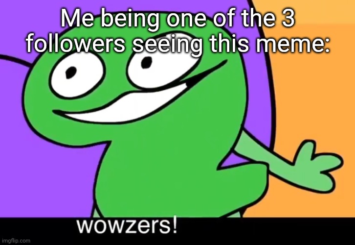 Wowzers! | Me being one of the 3 followers seeing this meme: | image tagged in wowzers | made w/ Imgflip meme maker