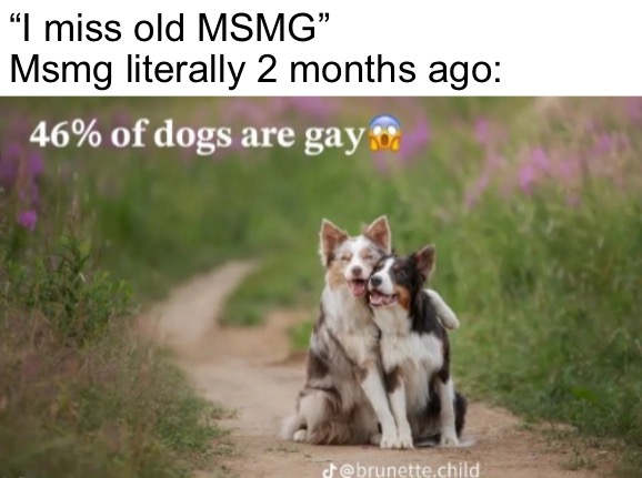 You wanna go back to DAWN? | “I miss old MSMG”
Msmg literally 2 months ago: | made w/ Imgflip meme maker