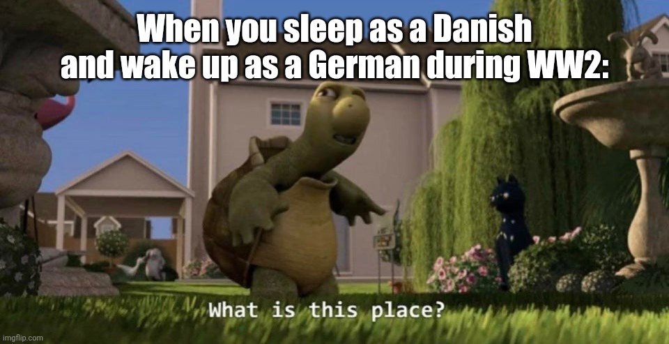 How come the Nazis has invaded a country in such short time? | When you sleep as a Danish and wake up as a German during WW2: | image tagged in what is this place,memes,ww2,funny,world war ii | made w/ Imgflip meme maker