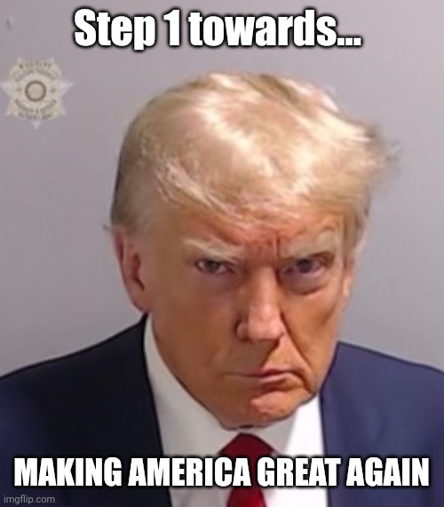 Donald Trump Mugshot | Step 1 towards... MAKING AMERICA GREAT AGAIN | image tagged in donald trump mugshot | made w/ Imgflip meme maker
