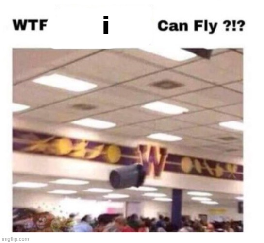 WTF --------- Can Fly ?!? | i | image tagged in wtf --------- can fly | made w/ Imgflip meme maker