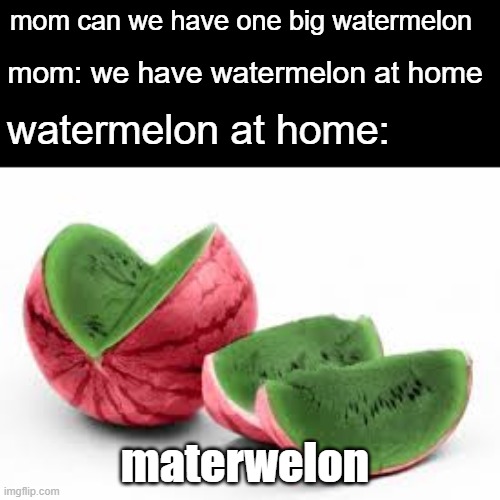 cant even eat a melon in ohio | mom: we have watermelon at home; mom can we have one big watermelon; watermelon at home:; materwelon | image tagged in materwelon,memes,food memes | made w/ Imgflip meme maker