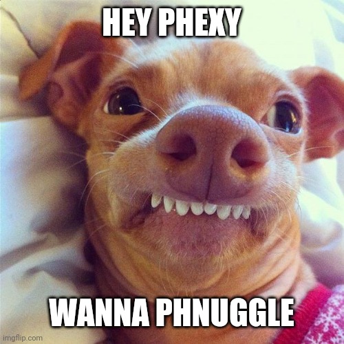 PHTEVEN | HEY PHEXY; WANNA PHNUGGLE | image tagged in phteven | made w/ Imgflip meme maker