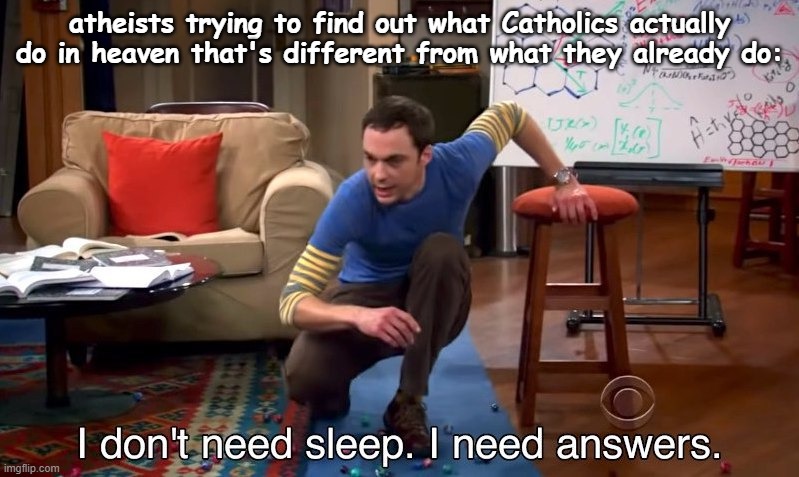 me, an atheist, wondering what y'all are gonna do up there all day | atheists trying to find out what Catholics actually do in heaven that's different from what they already do: | image tagged in i don't need sleep i need answers,atheist,sheldon cooper,catholic,christian | made w/ Imgflip meme maker