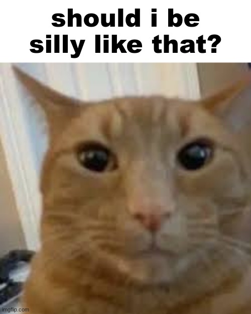 should i be silly like that | image tagged in should i be silly like that | made w/ Imgflip meme maker