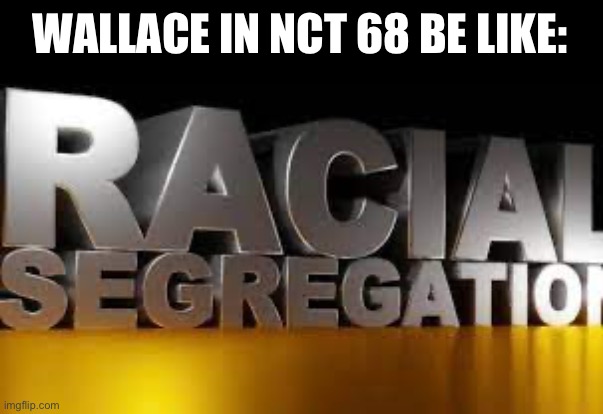 RACIAL SEGREGATION 3D | WALLACE IN NCT 68 BE LIKE: | image tagged in racial segregation 3d,3d wodr | made w/ Imgflip meme maker