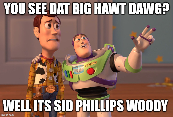 Gawsh | YOU SEE DAT BIG HAWT DAWG? WELL ITS SID PHILLIPS WOODY | image tagged in memes,x x everywhere,funny,woody | made w/ Imgflip meme maker