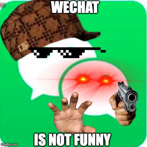 WECHAT HAD ENOUGH | WECHAT; IS NOT FUNNY | image tagged in monkey | made w/ Imgflip meme maker