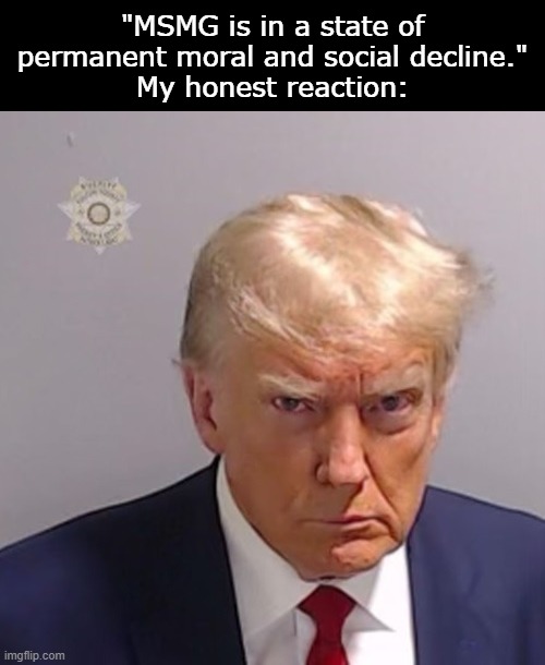 Trump Mugshot | "MSMG is in a state of permanent moral and social decline."
My honest reaction: | image tagged in trump mugshot | made w/ Imgflip meme maker