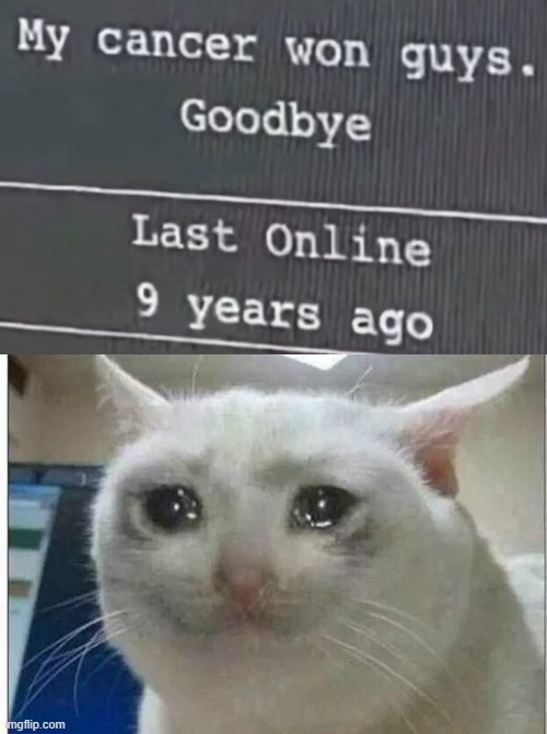 Here comes the big sad | image tagged in crying cat | made w/ Imgflip meme maker