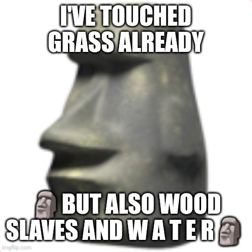 moai | I'VE TOUCHED GRASS ALREADY ?BUT ALSO WOOD SLAVES AND W A T E R? | image tagged in moai | made w/ Imgflip meme maker