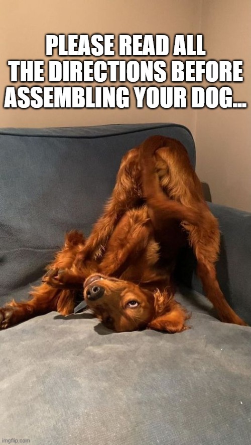 PLEASE READ ALL THE DIRECTIONS BEFORE ASSEMBLING YOUR DOG... | made w/ Imgflip meme maker