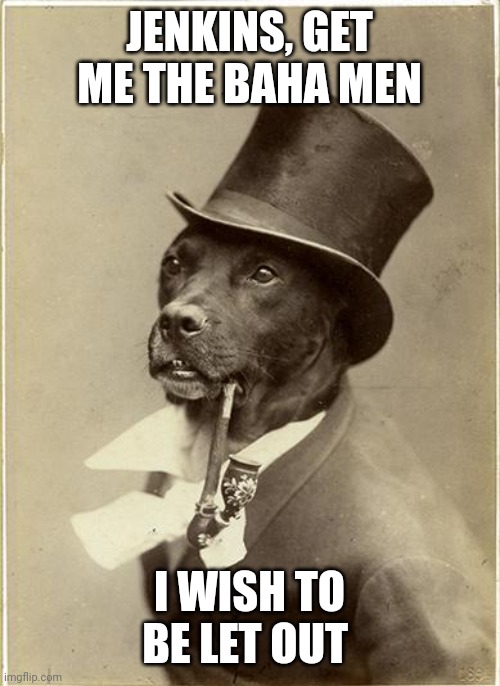 Old Money Dog | JENKINS, GET ME THE BAHA MEN; I WISH TO BE LET OUT | image tagged in old money dog,dogs,music,1990's,who let the dogs out | made w/ Imgflip meme maker