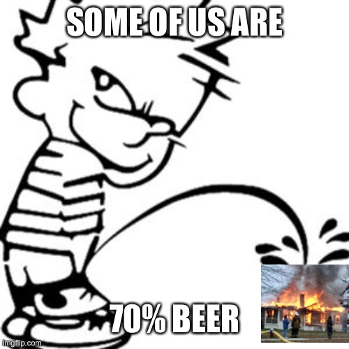 piss on you | SOME OF US ARE 70% BEER | image tagged in piss on you | made w/ Imgflip meme maker