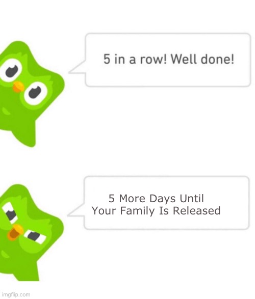 Duolingo 5 in a row | 5 More Days Until Your Family Is Released | image tagged in duolingo 5 in a row,duolingo bird | made w/ Imgflip meme maker