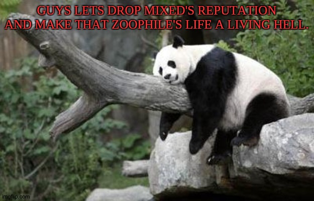 Let's go. | GUYS LETS DROP MIXED'S REPUTATION AND MAKE THAT ZOOPHILE'S LIFE A LIVING HELL. | image tagged in lazy panda,announcement | made w/ Imgflip meme maker