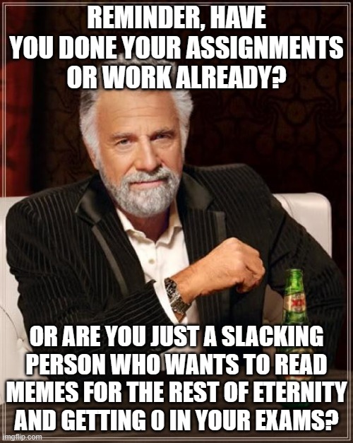Are you done? | REMINDER, HAVE YOU DONE YOUR ASSIGNMENTS OR WORK ALREADY? OR ARE YOU JUST A SLACKING PERSON WHO WANTS TO READ MEMES FOR THE REST OF ETERNITY AND GETTING 0 IN YOUR EXAMS? | image tagged in memes,the most interesting man in the world,assignment | made w/ Imgflip meme maker